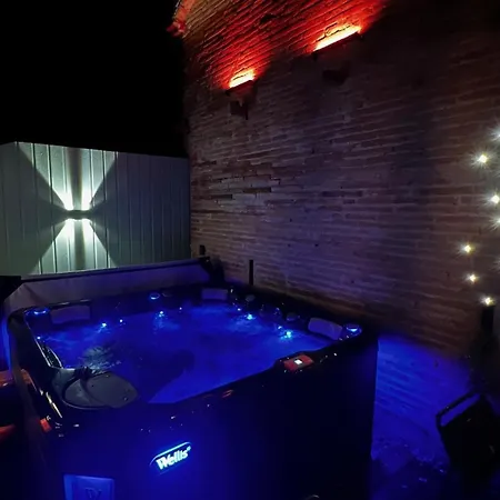 L Du Parc Avec Jacuzzi Exterieur Daire Villemur-sur-Tarn
