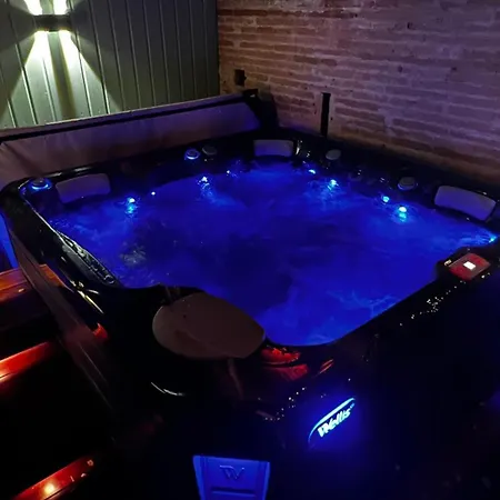 L Du Parc Avec Jacuzzi Exterieur * Villemur-sur-Tarn