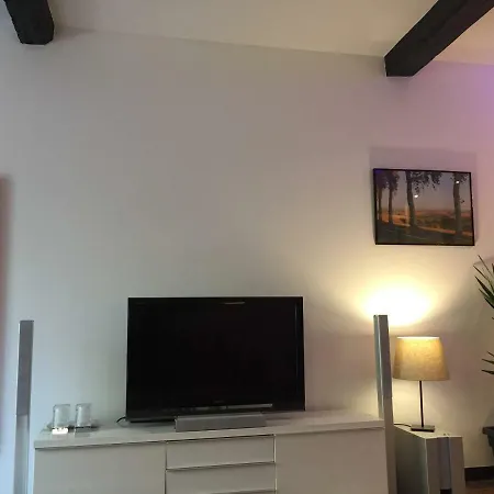 Apartment L Du Parc Villemur-sur-Tarn