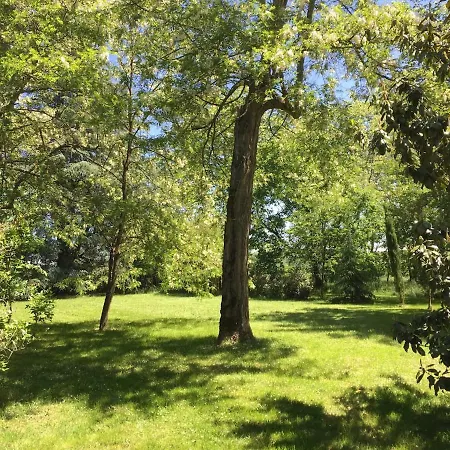 L Du Parc Apartment Villemur-sur-Tarn