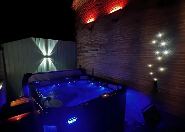 L Du Parc Appartement Villemur-sur-Tarn