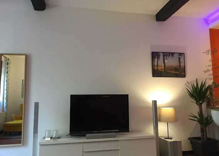 Appartement L Du Parc Villemur-sur-Tarn