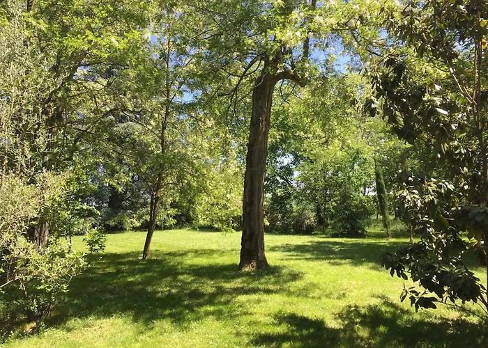 L Du Parc Appartement Villemur-sur-Tarn